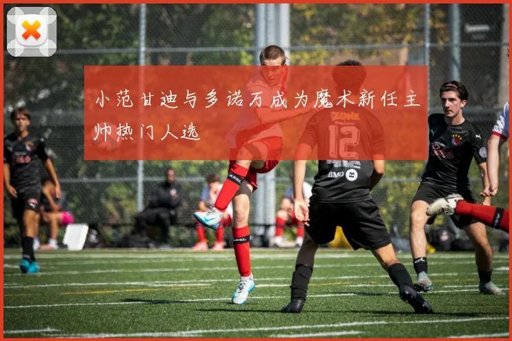 小范甘迪与多诺万成为魔术新任主帅热门人选